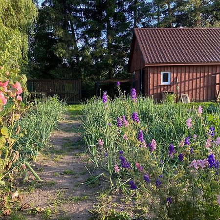 Agroturystyka Omelia Człuchów Dış mekan fotoğraf